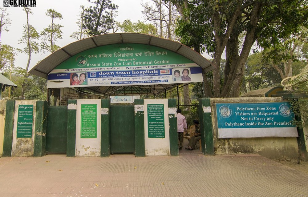 Assam State Zoo cum Botanical Garden